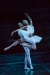 National Ballet of Kiev_11